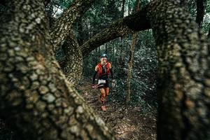 BIB: 
                            <button type="button" onclick="openModal(25392453)" class="btn btn-primary btn-sm float-right btn-popup" data-toggle="modal" data-target=".modal-high-quality">
                        <i class="fas fa-shopping-cart"></i> Add to Cart
                    </button>
                                            <button type="button" onclick="isThisMe(25392453, true)" class="btn btn-success btn-sm float-right btn-popup btn-isme hidden" data-toggle="tooltip" data-placement="bottom" title="นี่คือรูปของคุณใช่ไหม คลิกที่นี่เพื่อเอาเข้าอัลบั้ม">
                        <i class="fas fa-plus"></i> Add to album
                    </button>
                    <button type="button" onclick="isThisMe(25392453, false)" class="btn btn-warning btn-sm float-right btn-popup btn-isnotme hidden">
                        <i class="fas fa-ban"></i> Remove from album
                    </button>